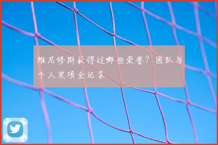 维尼修斯获得过哪些荣誉？团队与个人奖项全记录