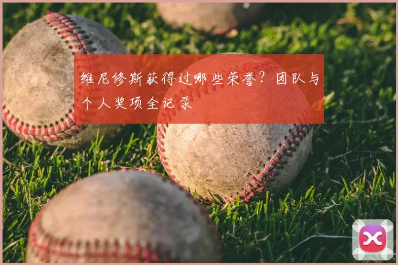 维尼修斯获得过哪些荣誉？团队与个人奖项全记录